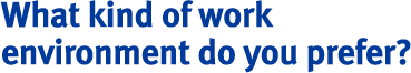 What kind of work environment do you prefer?
