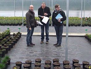 Lead Designer Nigel Dunnett checks progress of Show garden plants