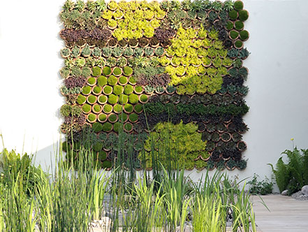 The low-tech living wall, made by planting drought-tolerant succulent into recycled clay pipes
