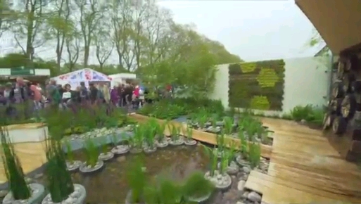Video: 2012 Garden Video
