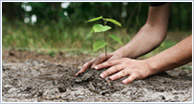 Eco-Leadership Program