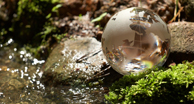 RBC joins the Global Impact Investing Network