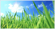 What RBC Did to Celebrate Earth Day 2012