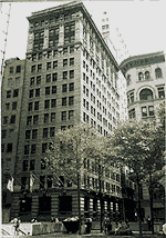 New York Branch