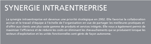Synergie intraenterprise