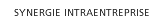 Synergie intraenterprise