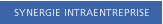 Synergie intraentreprise