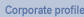 Corporate profile