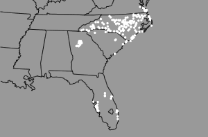 RBC Centura brance network map