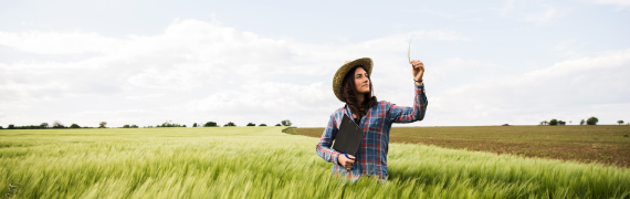 Femme, debout dans un champ, portant un chapeau de paille, tenant une planchette à pince et examinant un brin de blé