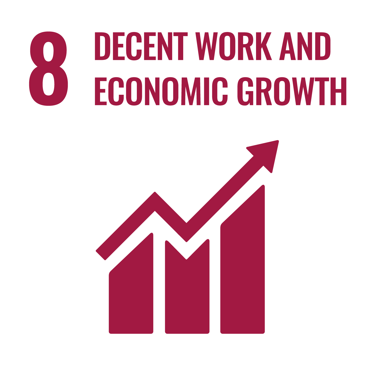 8 DECENT WORK AND ECONOMIC GROWTH