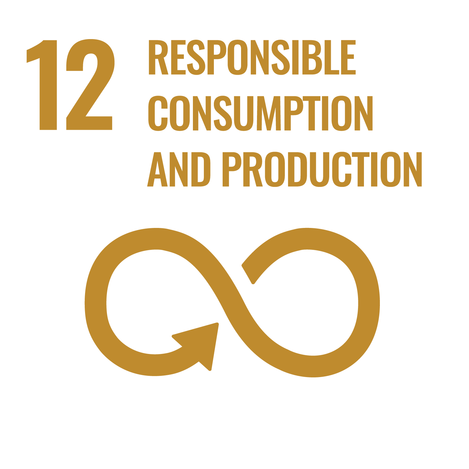 12 RESPONSIBLE CONSUMPTION AND PRODUCTION