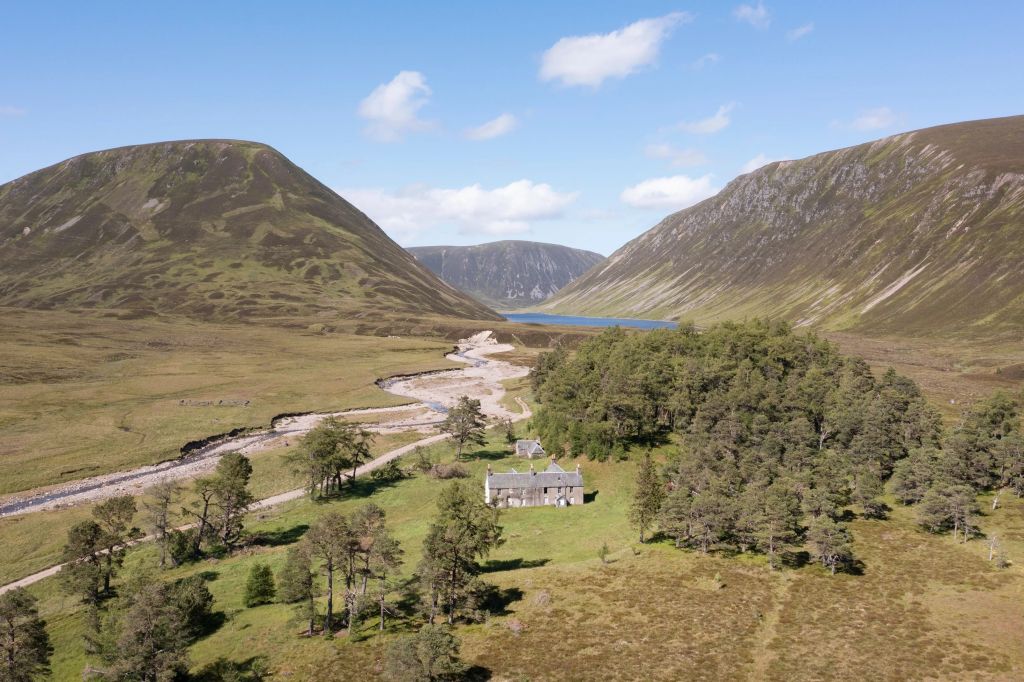 How Durrell Wildlife Conservation Trust is reviving a Scottish gem