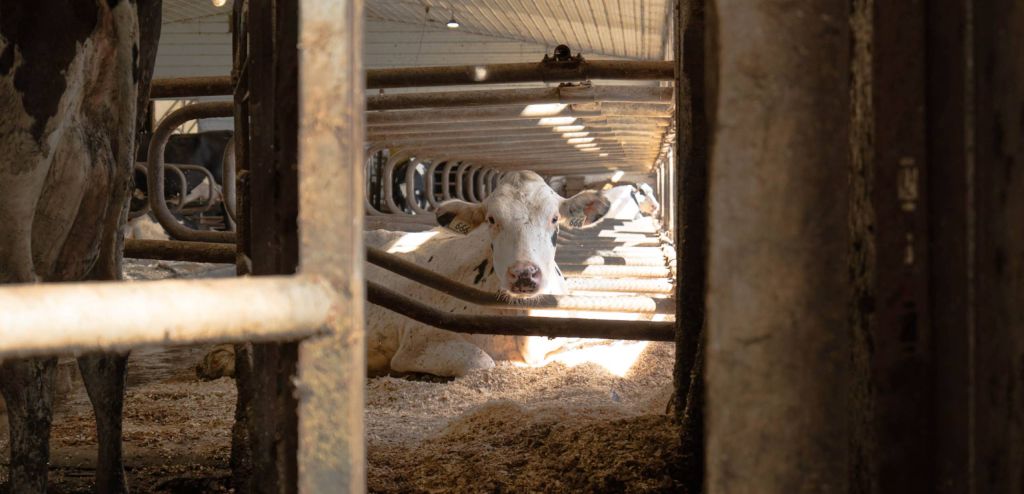 <b>Methane Efficiency:</b> The Climate Innovation Hiding in Plain Sight
