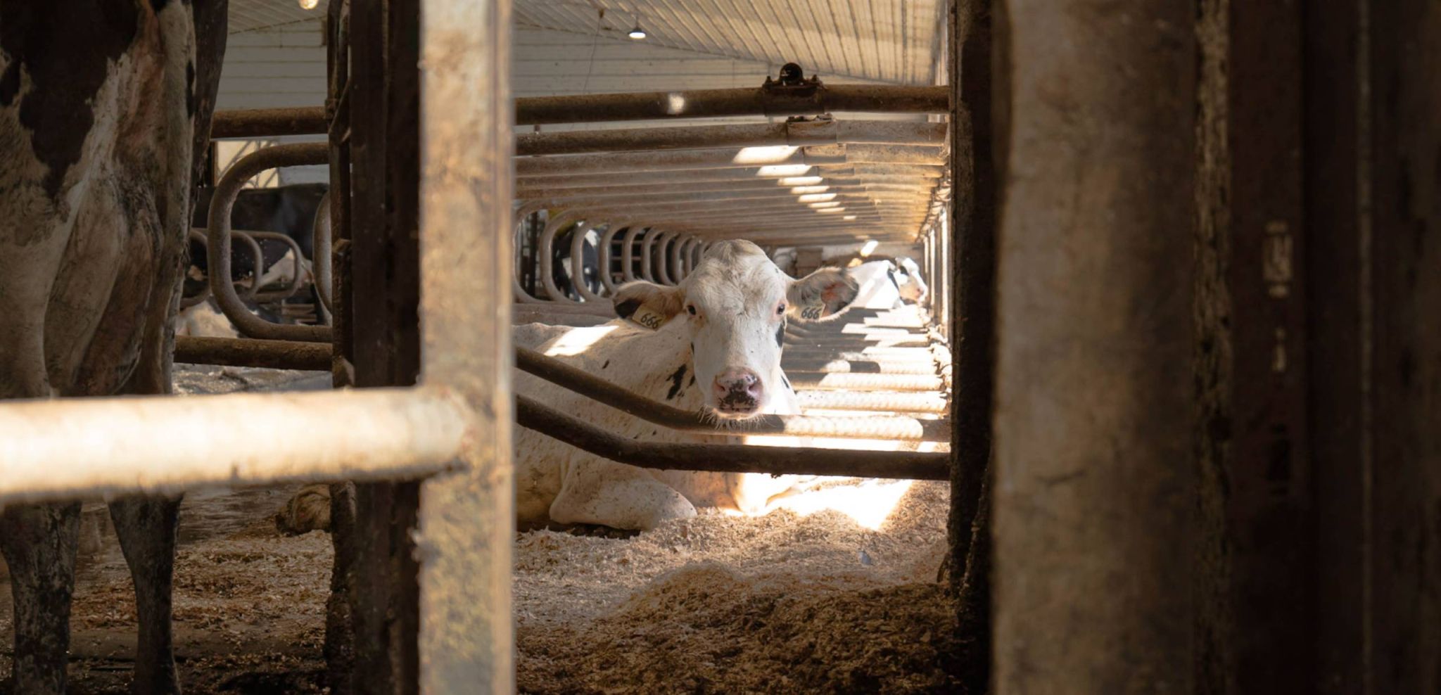 <b>Methane Efficiency:</b> The Climate Innovation Hiding in Plain Sight