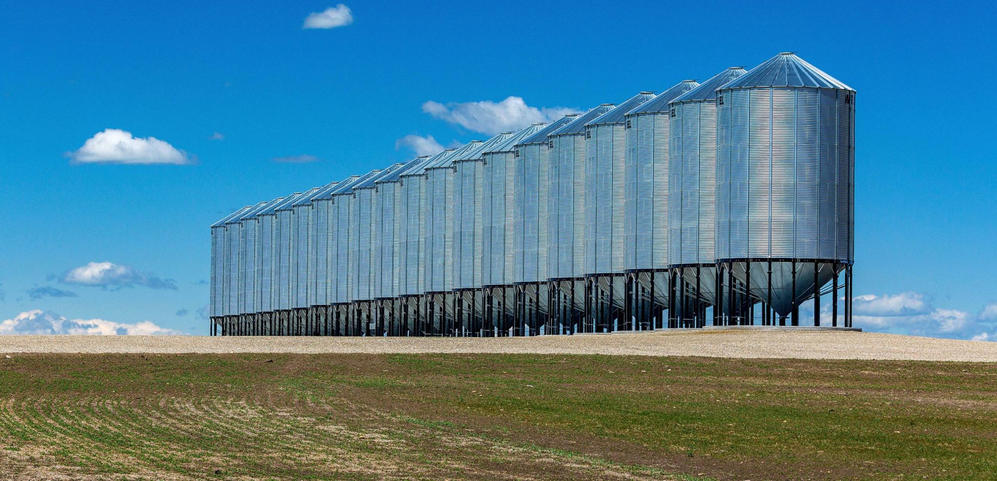 Growing pains: Farmers on the tariff frontlines