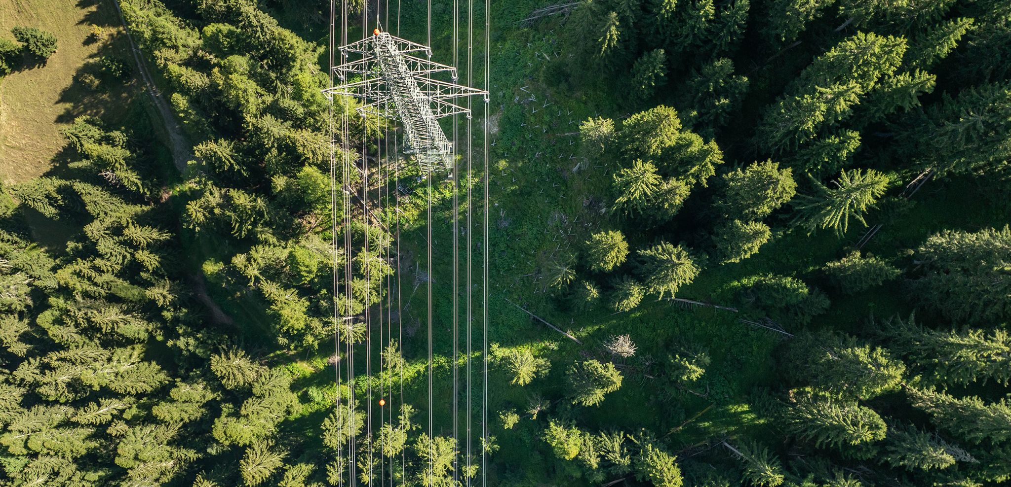 Earth Day Edition: Canada’s Power Move