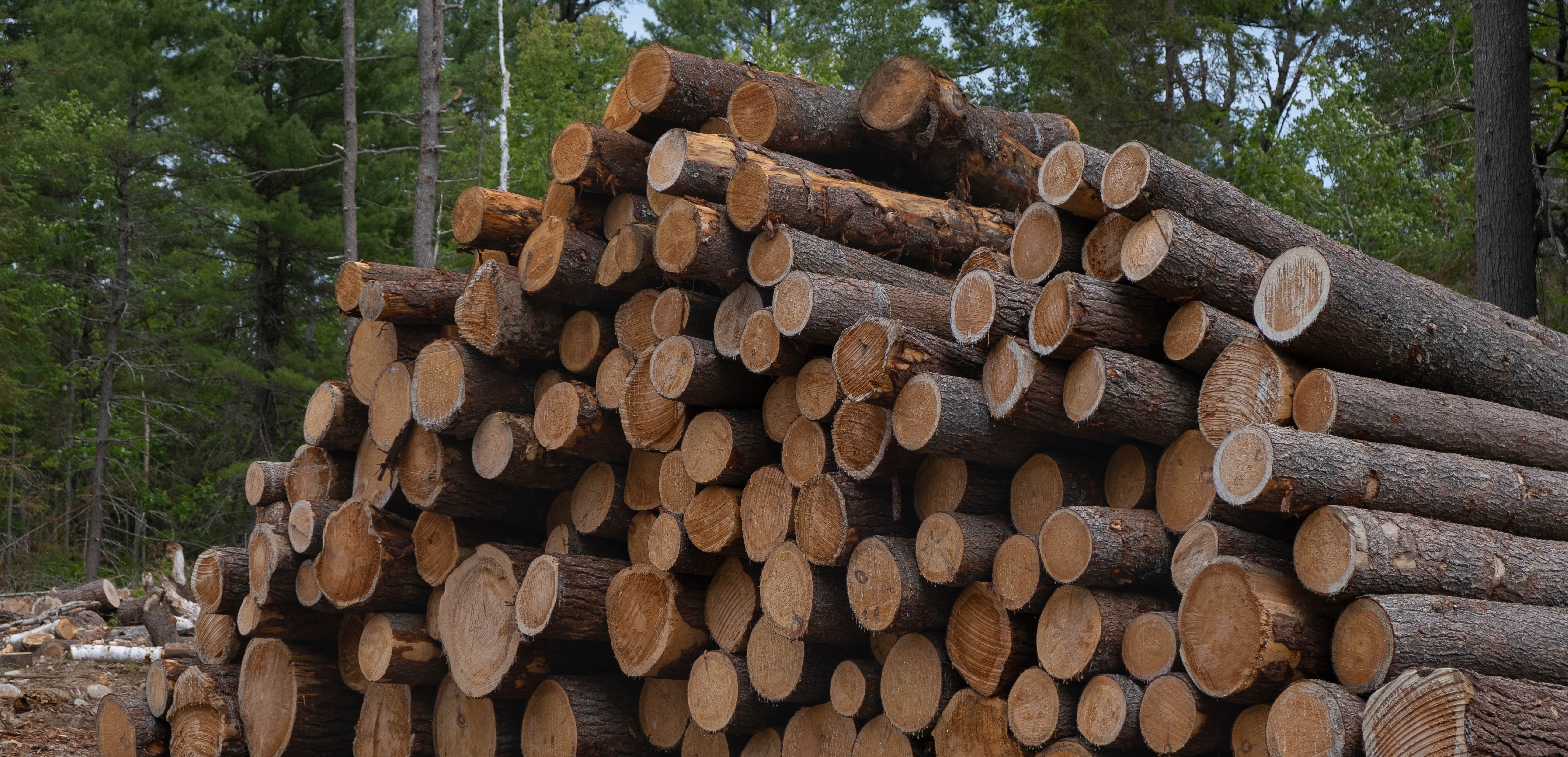 Canada's other green superpower
