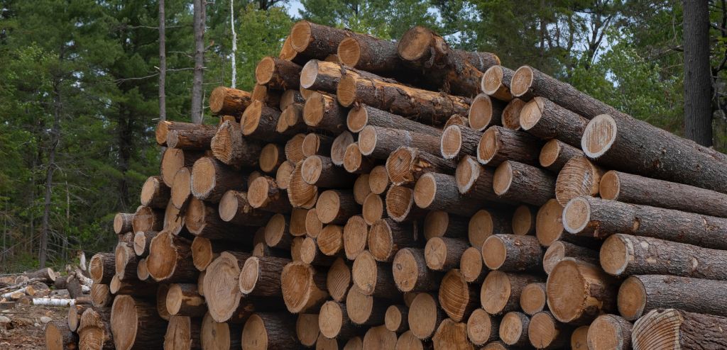 Climate Crunch: Canada’s other green superpower