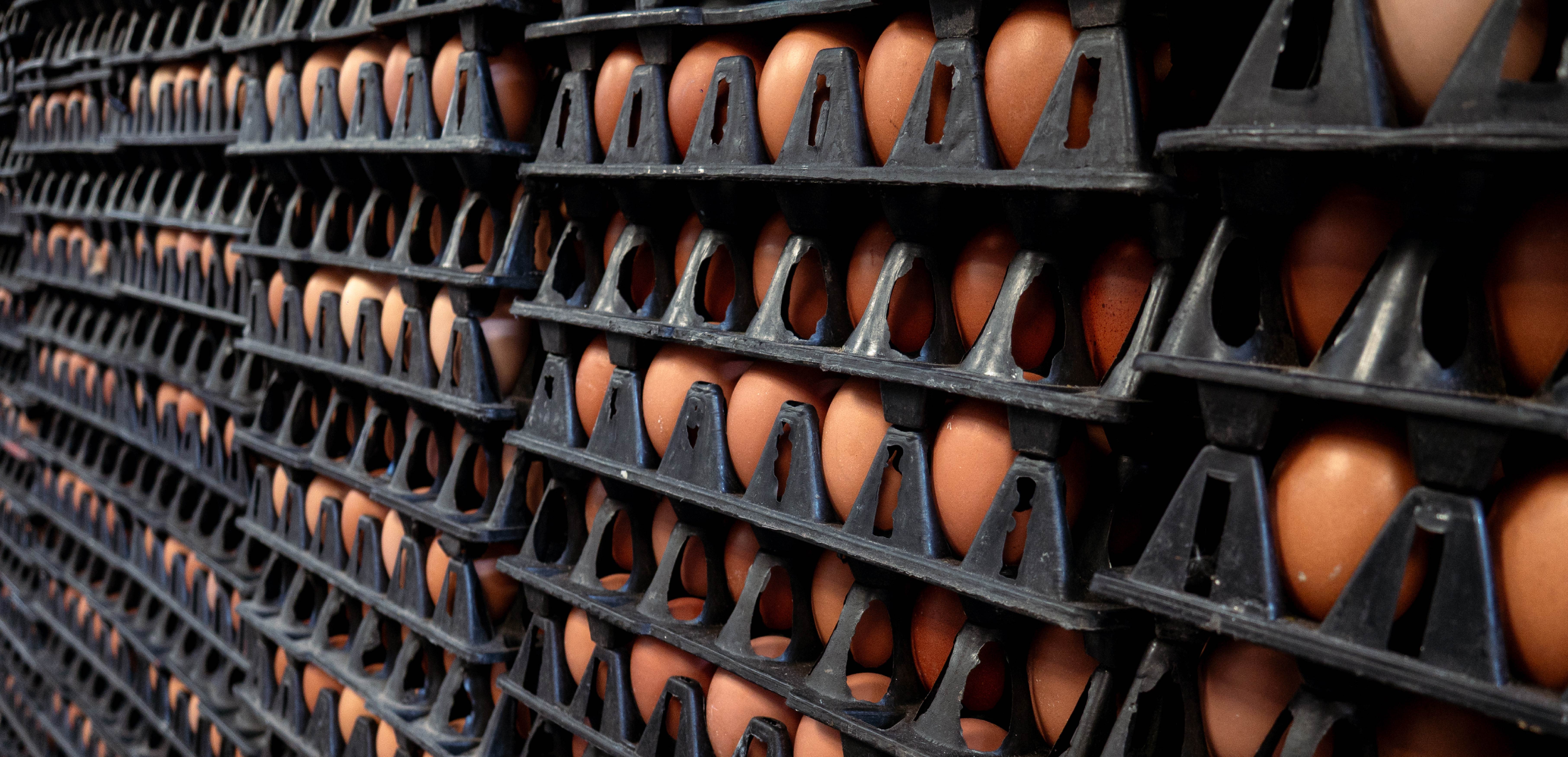 Supply Management Explained - RBC Thought Leadership
