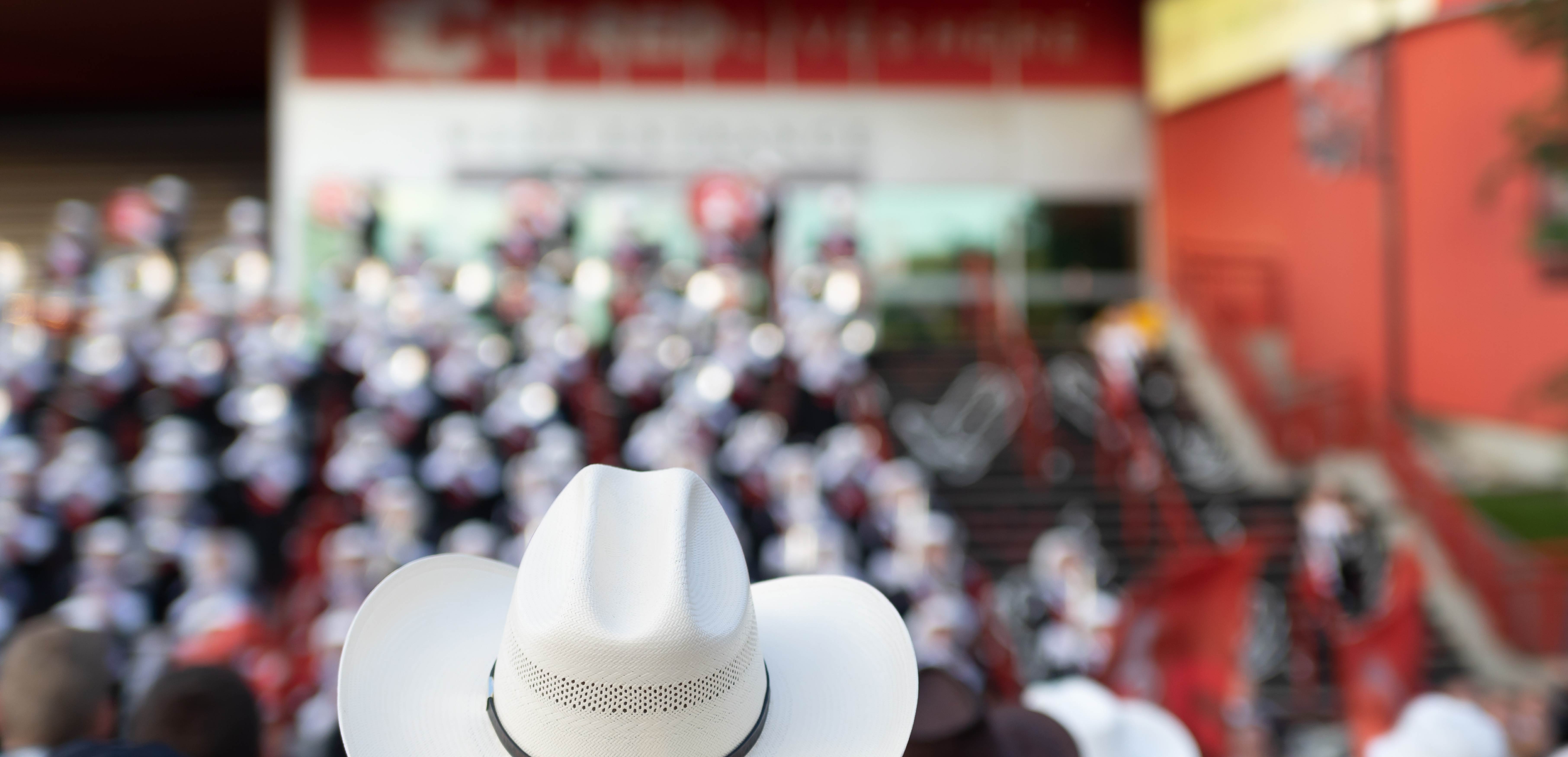 The Great Canadian Stampede
