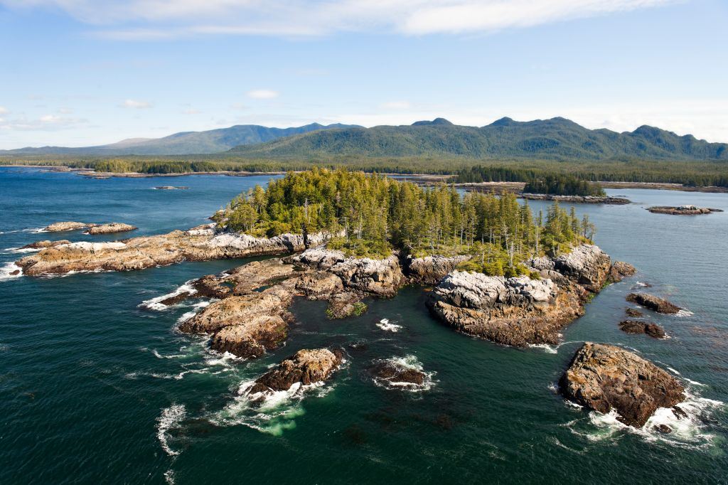 Great bear rainforest
