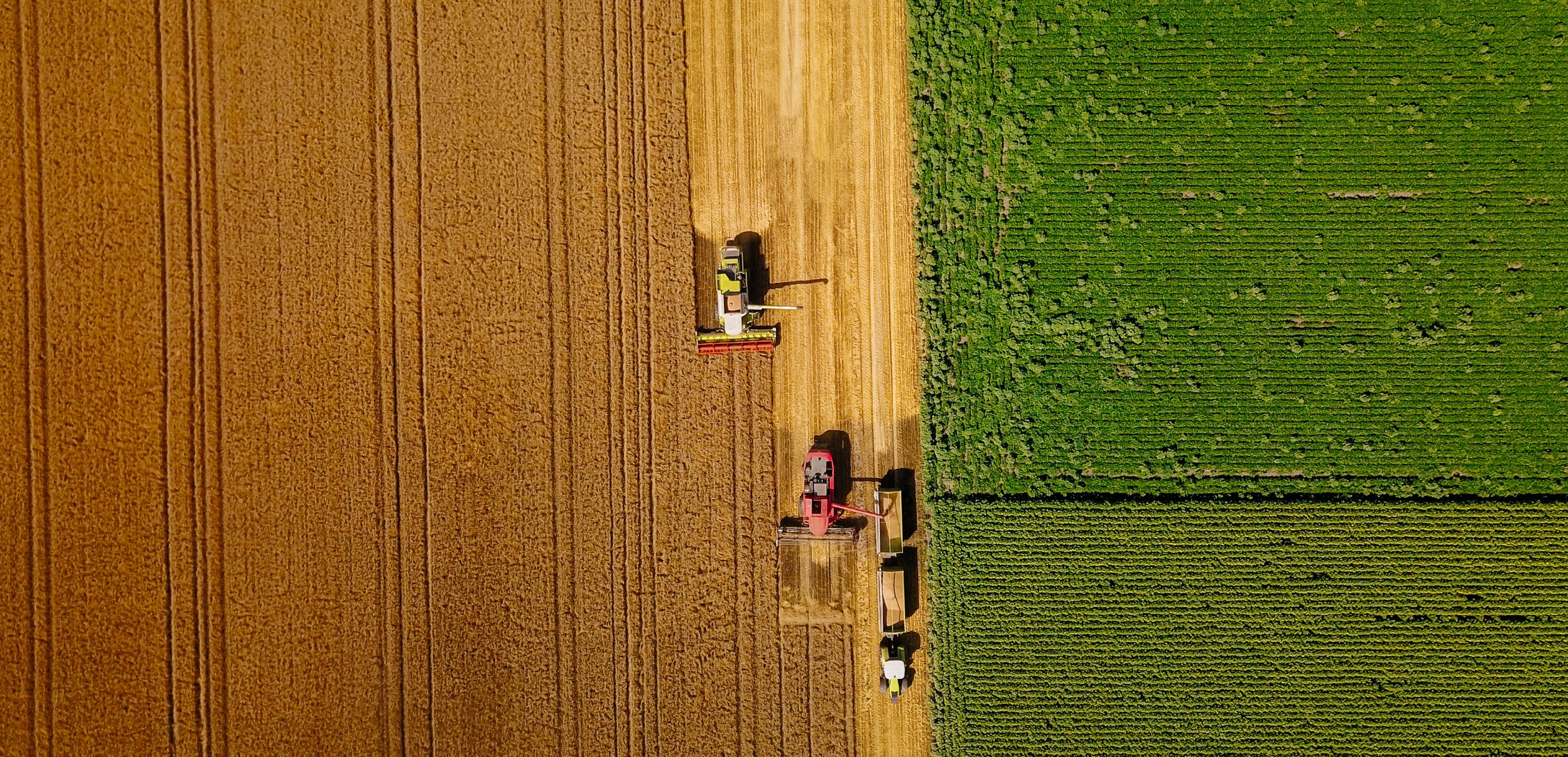 Cultivating The Next Generation of Ag Innovators