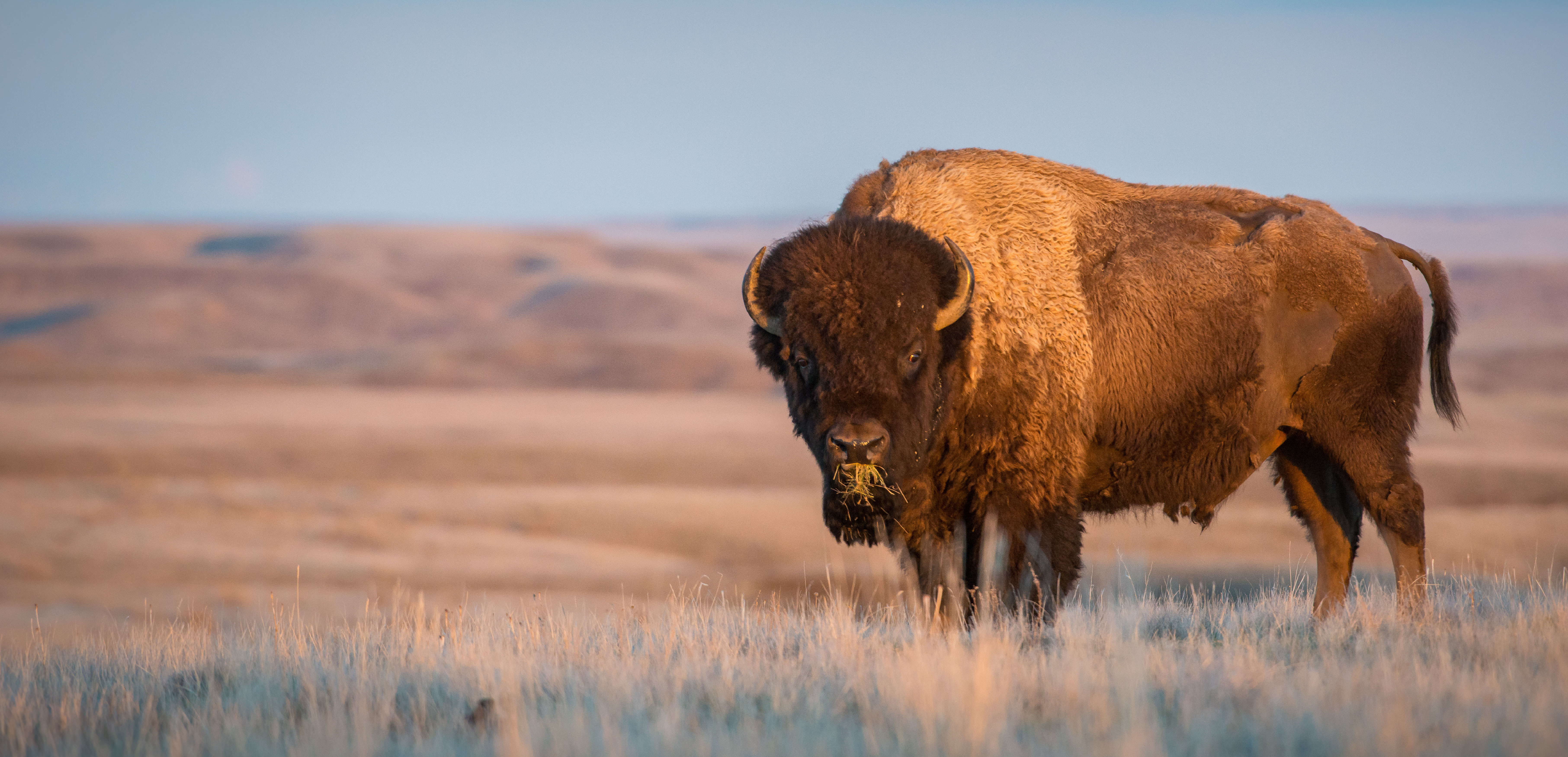 A growing opportunity: Indigenous agriculture in Canada