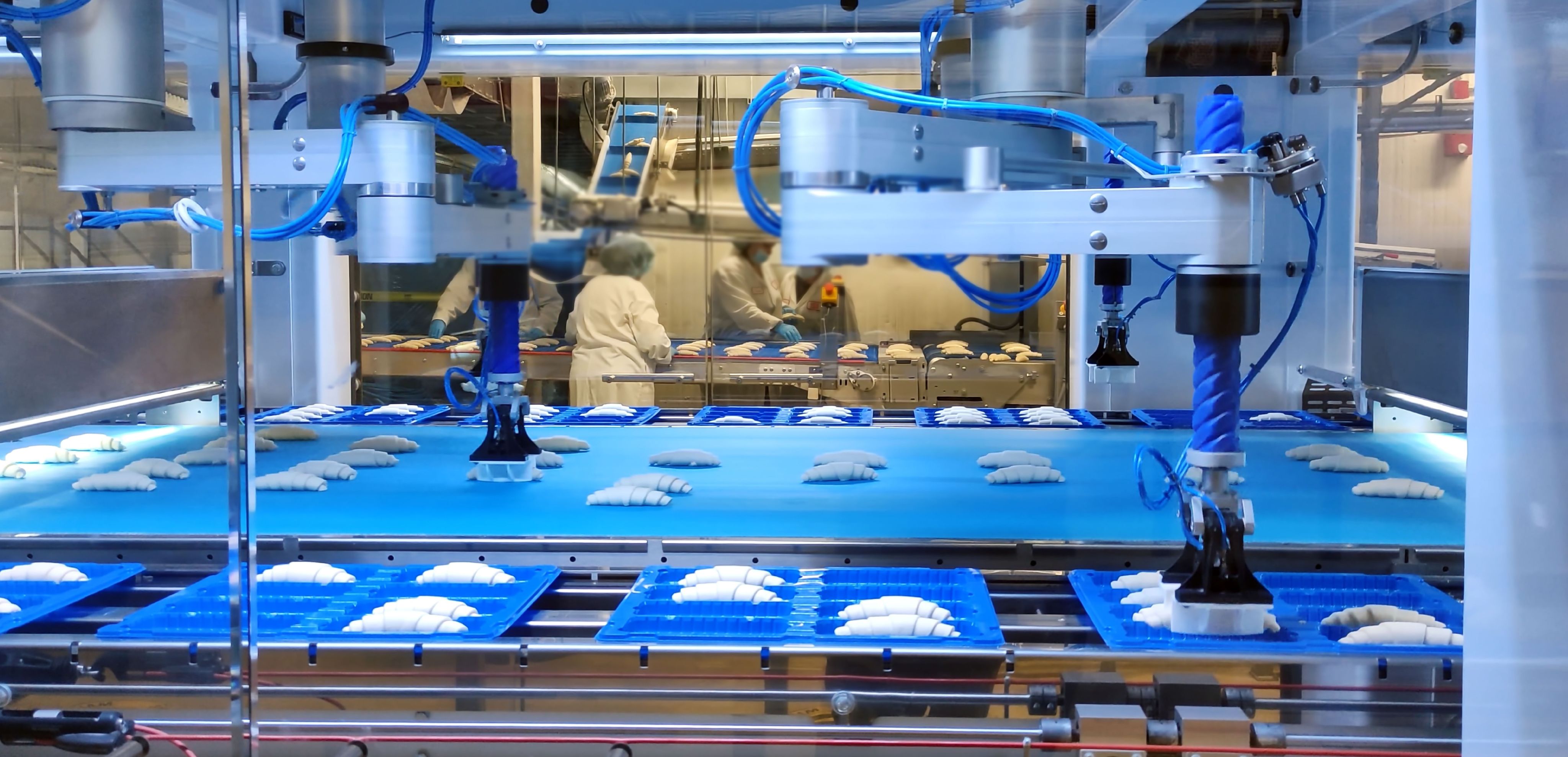 Investing in abundance: Addressing Canada’s growth capital gap in agri-food