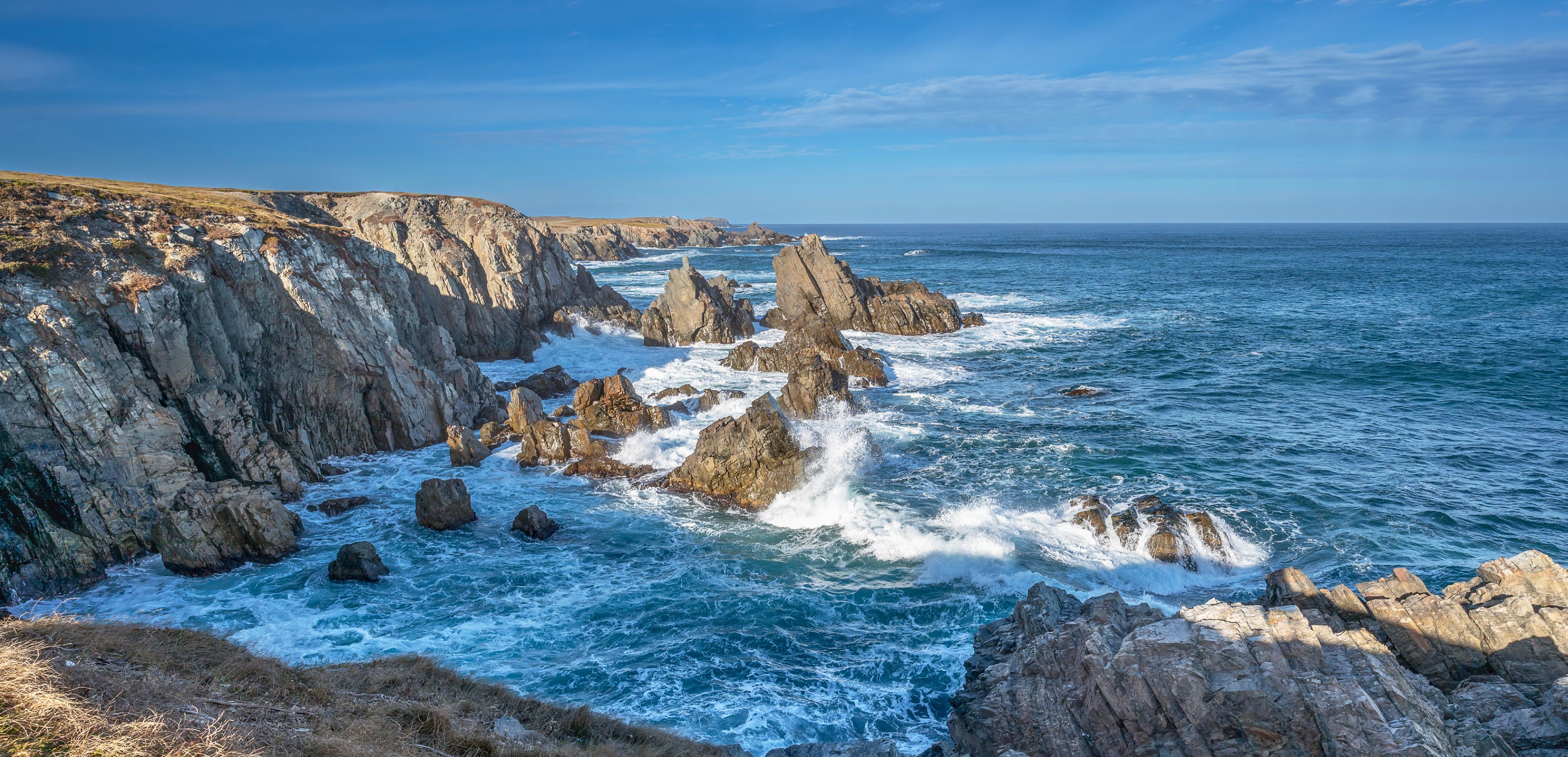 Climate Crunch: Can wind power up in Newfoundland and Labrador?