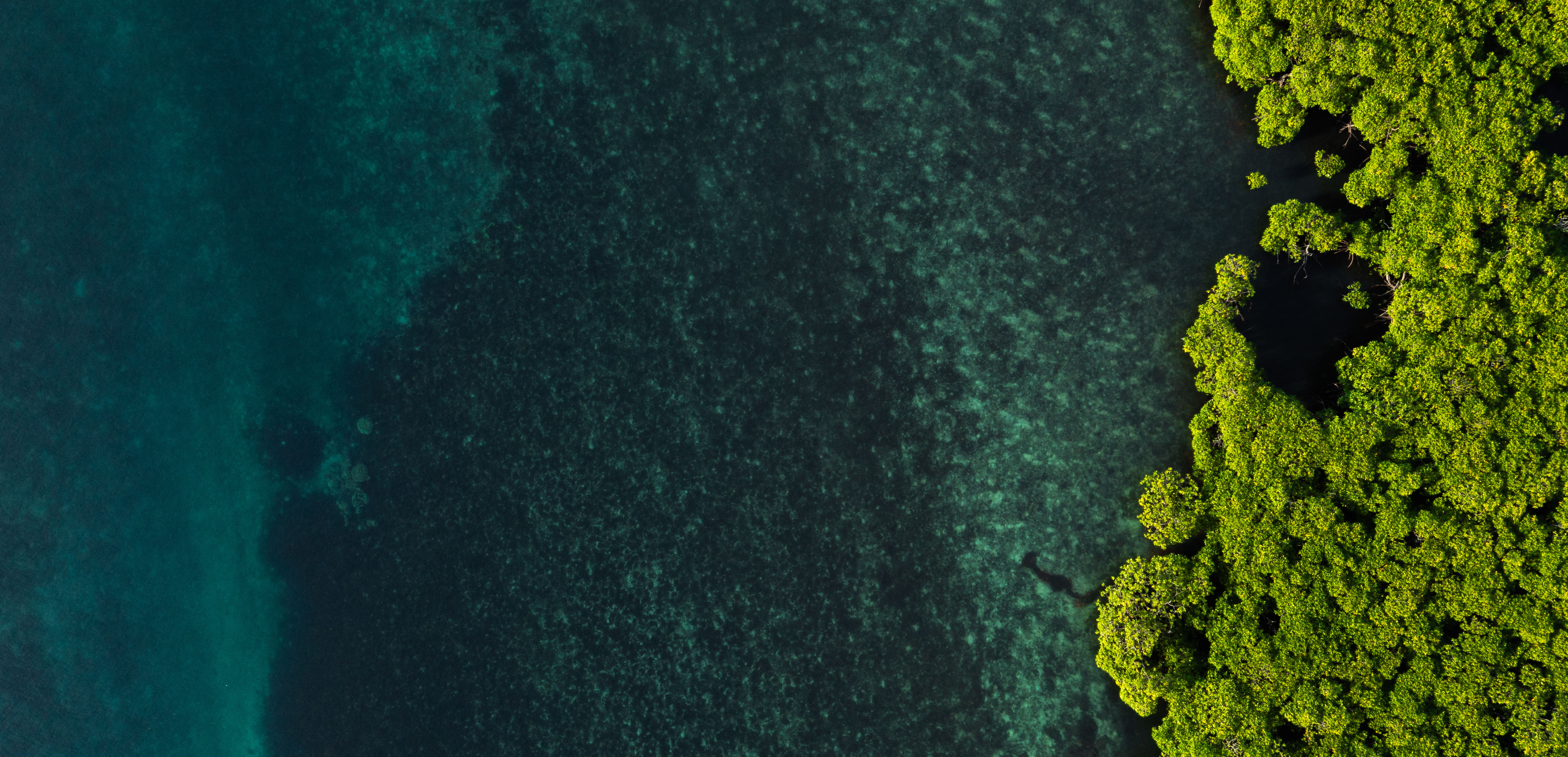 Earth Day 2026: Conserving Canada’s most precious resource - climate crunch