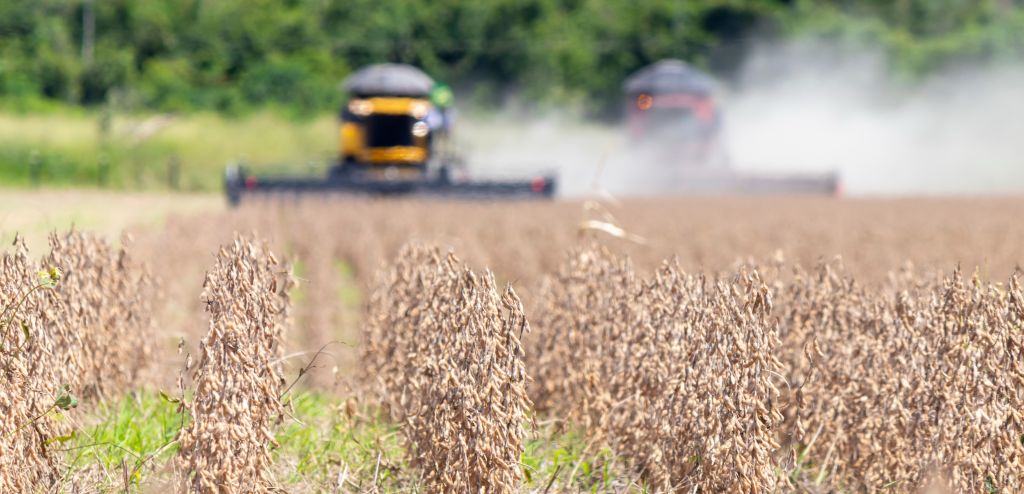 Montée en puissance de l’agriculture régénératrice : points saillants de la Semaine du climat NYC