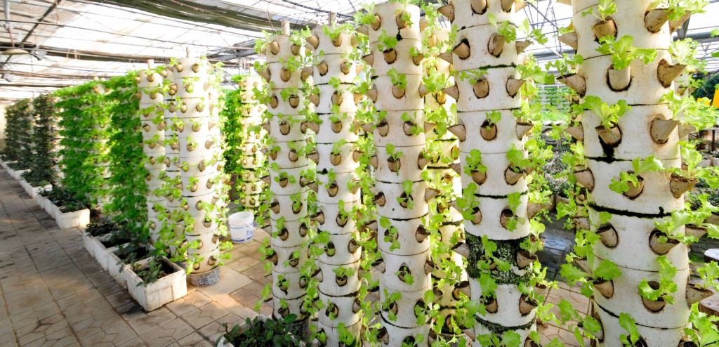 La prochaine révolution verte: comment le Canada peut accroître sa production alimentaire tout en réduisant ses émissions