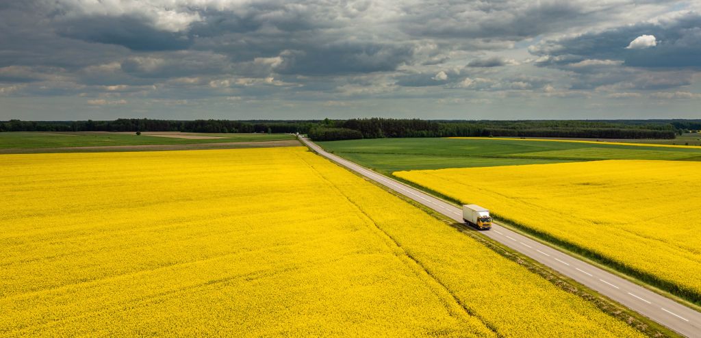 Zone commerciale : Le canola canadien pris entre deux feux