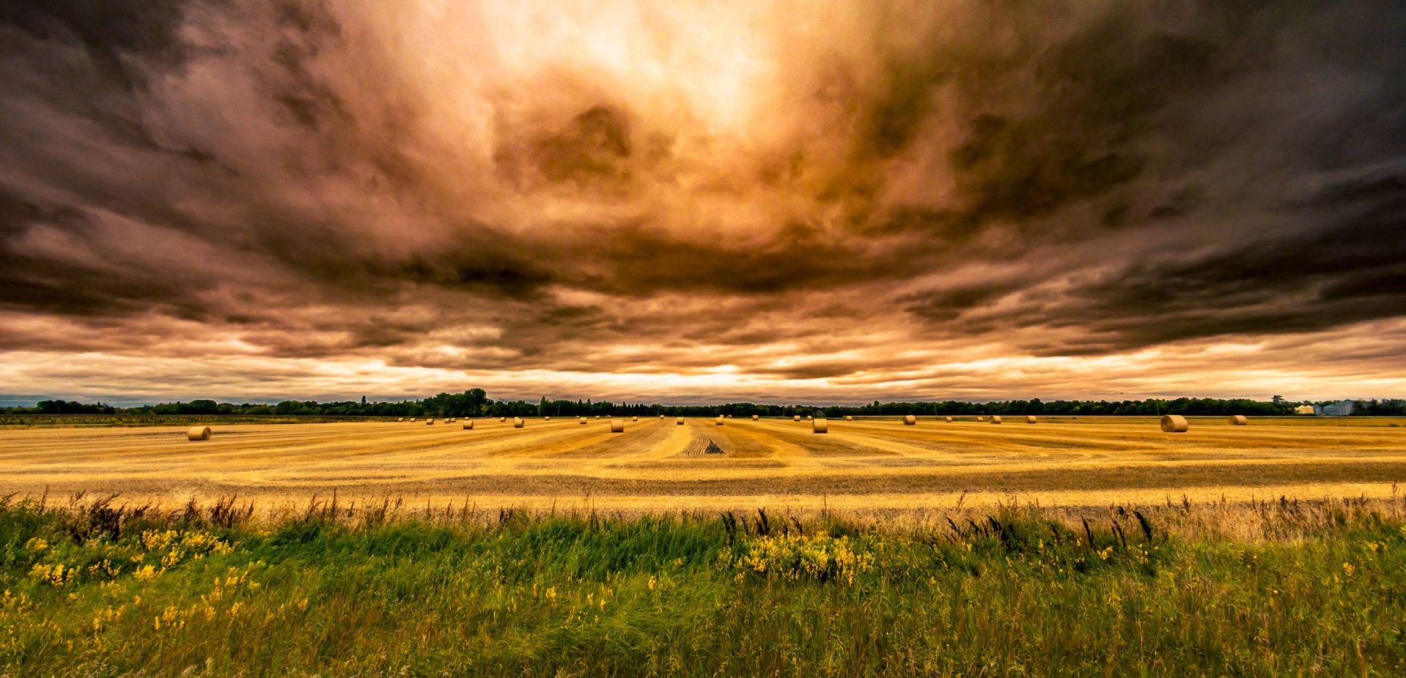 L’action climatique racontée par des photographes