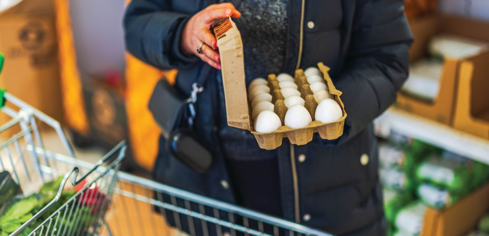 Alimenter la crise : l’incidence des droits de douane sur l’insécurité alimentaire