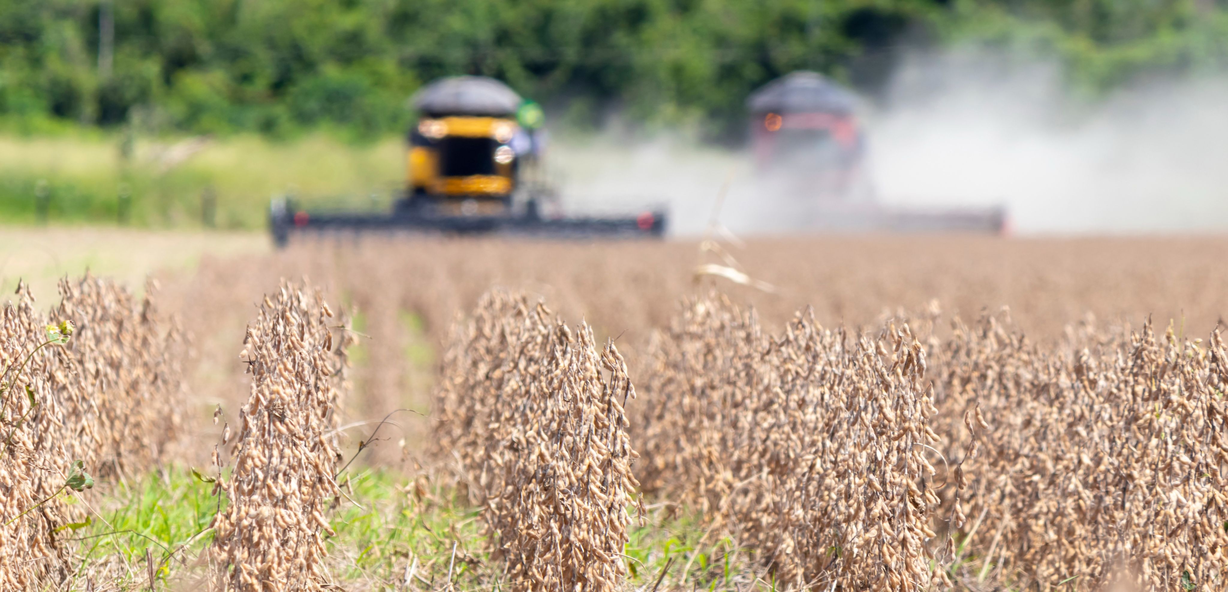 Montée en puissance de l’agriculture régénératrice : points saillants de la Semaine du climat NYC