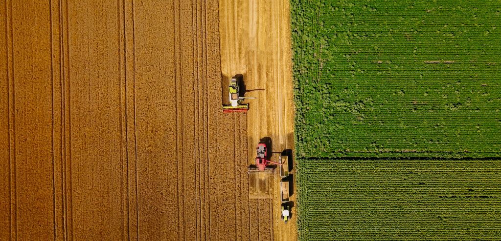 Bouleversements climatiques : Cultiver la prochaine génération d’innovateurs en agriculture