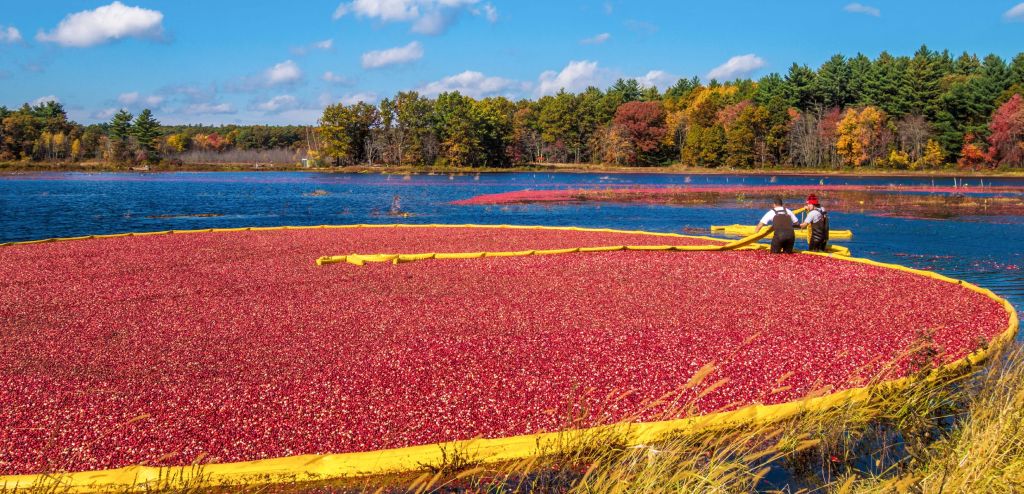 Extraire la valeur : le rôle essentiel que peut jouer la nature dans les programmes de croissance