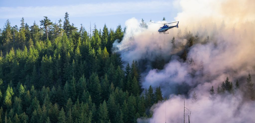 À l’écoute : ce que les leaders canadiens prévoient pour l’année à venir au sujet de l’action climatique