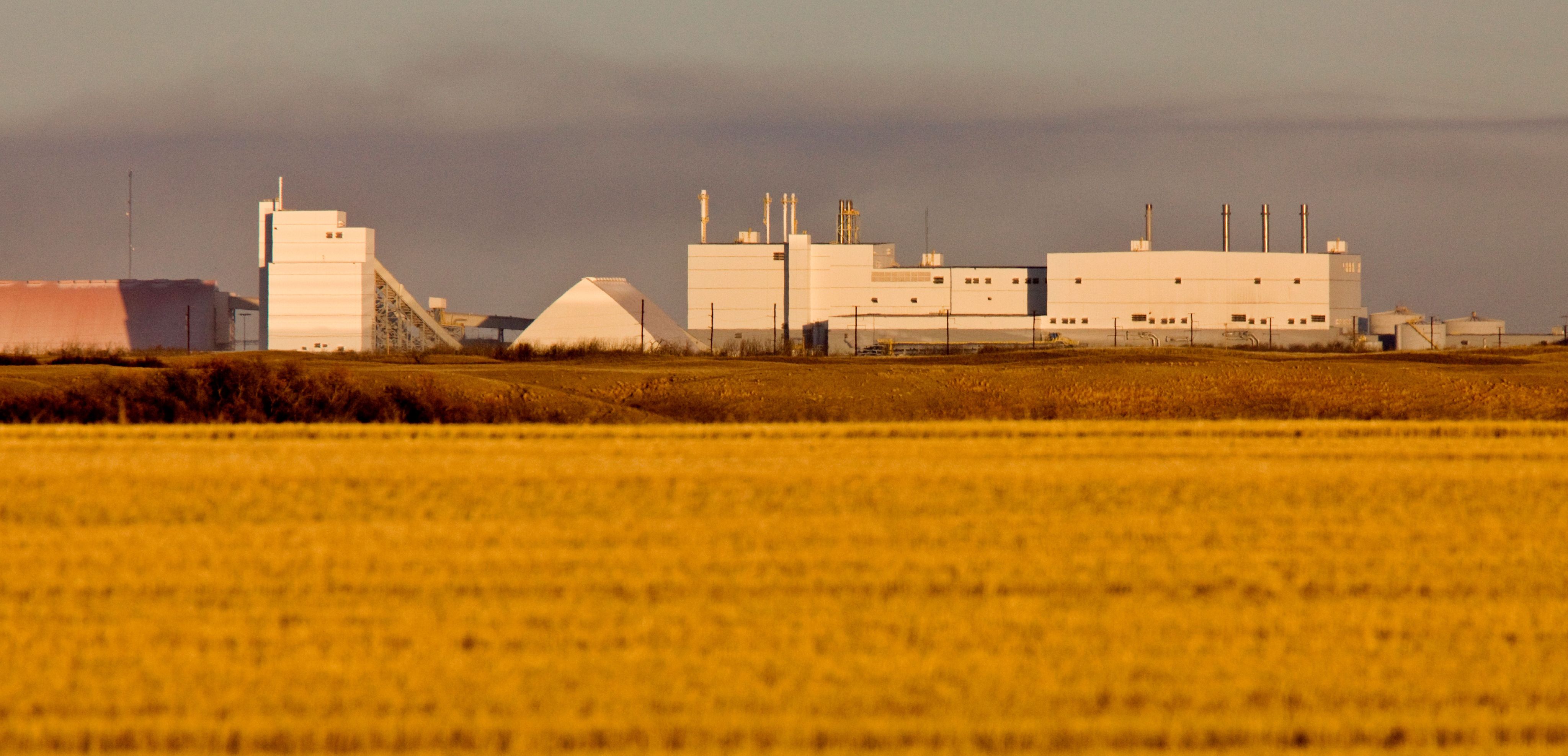 La zone commerciale : potasse, pois et sources d’énergie