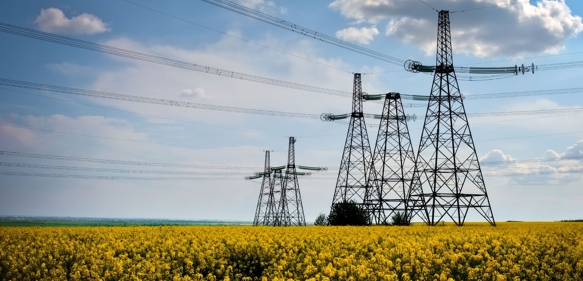 Bouleversements climatiques : Révision de la stratégie climatique du Canada