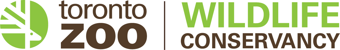 Beneficiary 38